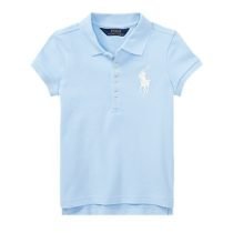 Sky Blue Embroidered Fitted Polo